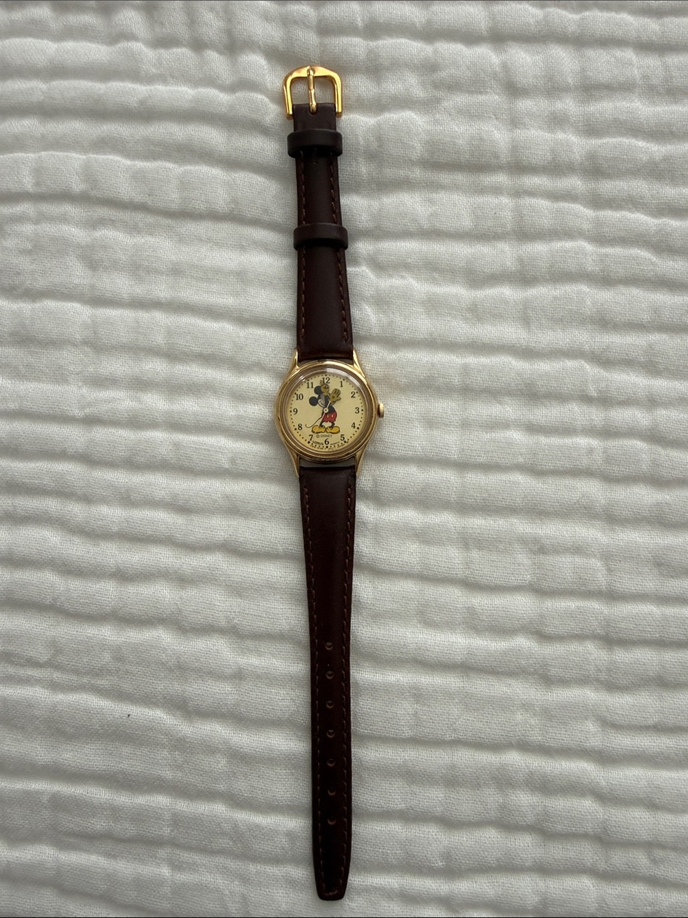 Classic Brown Leather Strap Watch with Gold-Tone Case and Character Dial